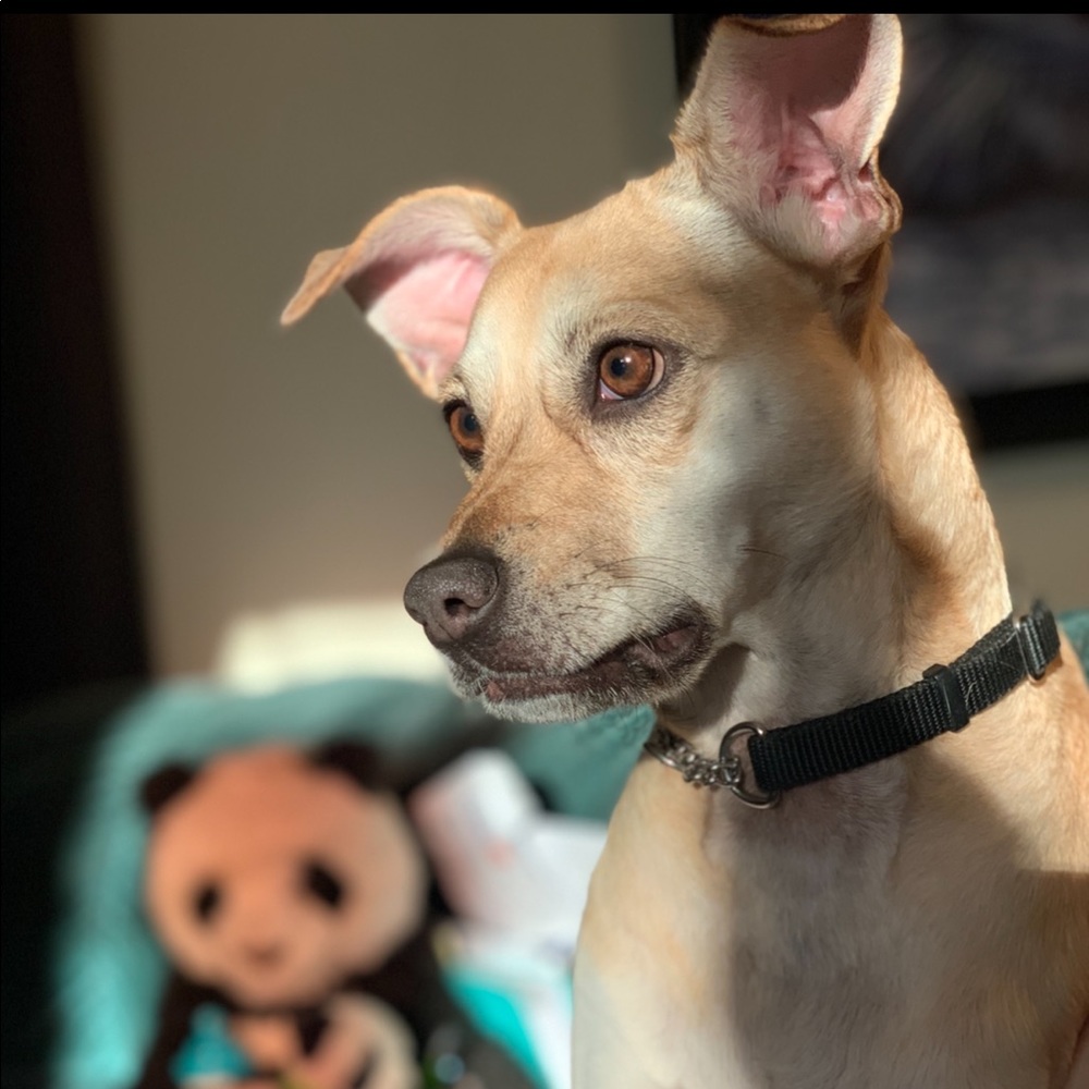 Meet your Posher, Heather